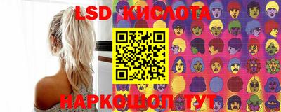 индика Партизанск