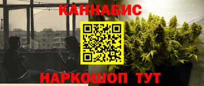 индика Партизанск