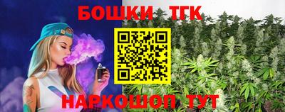 индика Партизанск