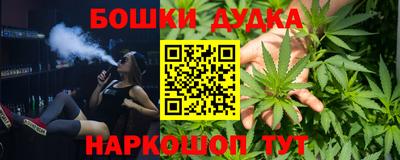 индика Партизанск